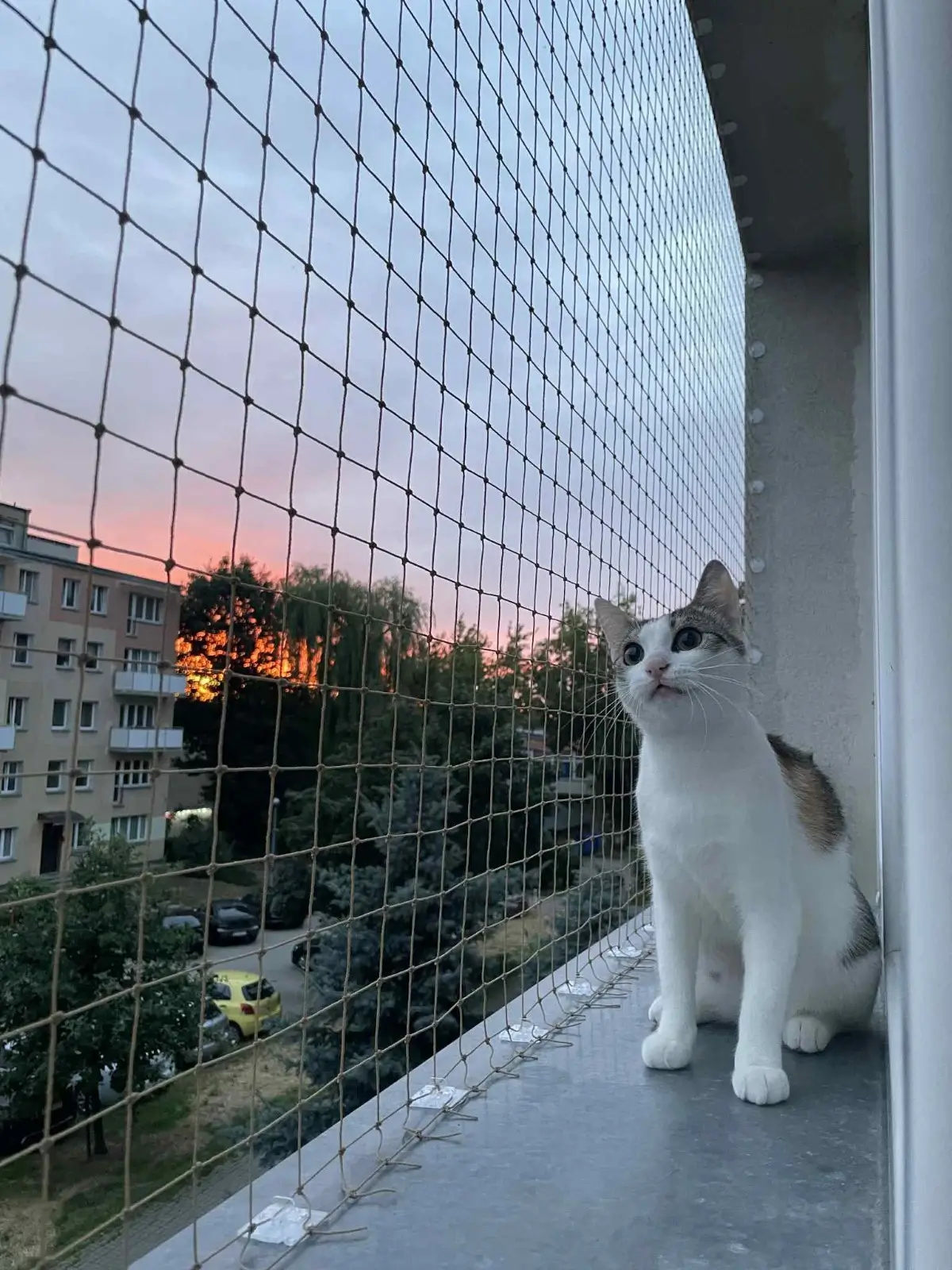 Estetycznie zabezpieczony balkon siatką ochronną